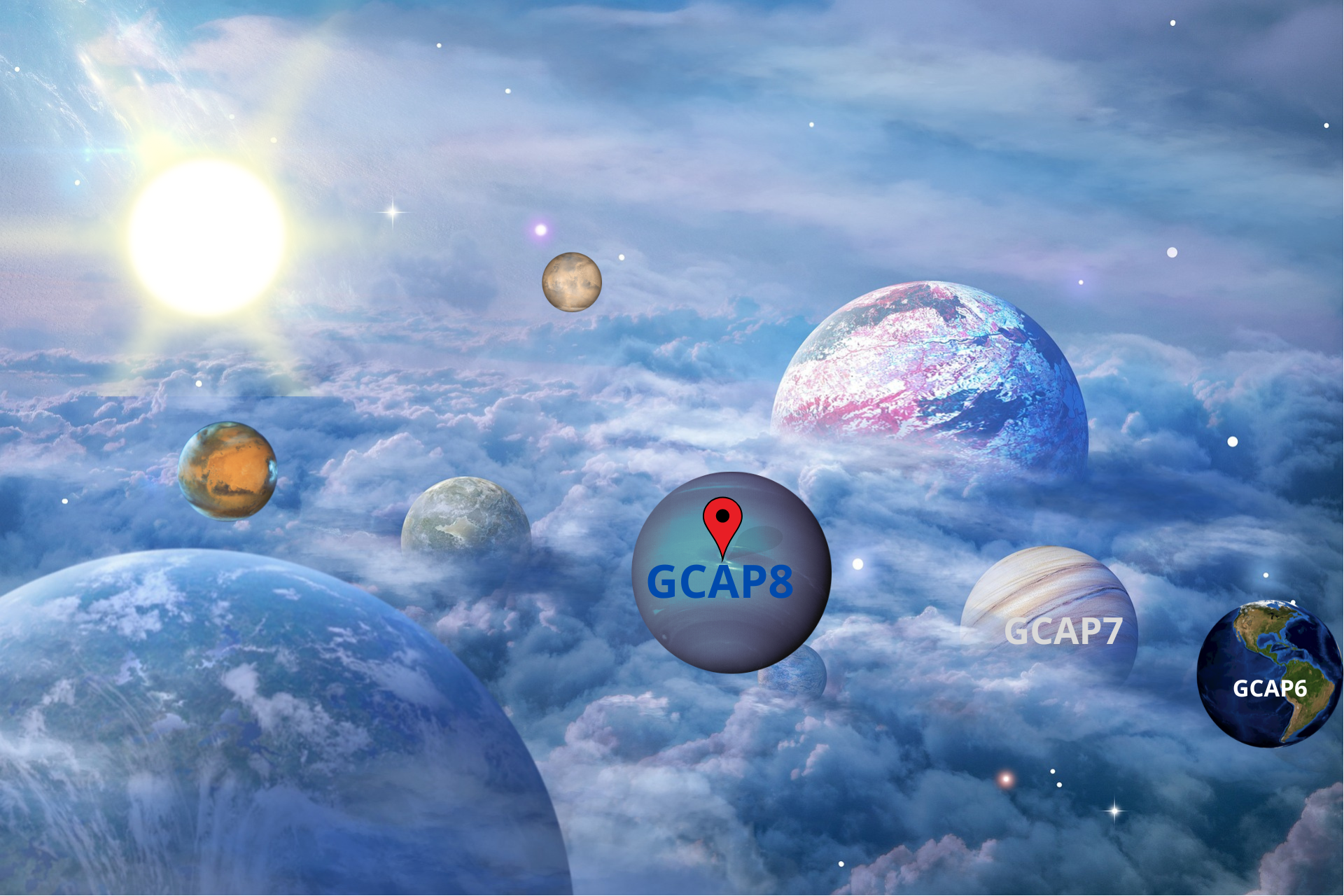 GCAP8 (1)